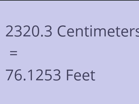 2320.3 CM TO FEET