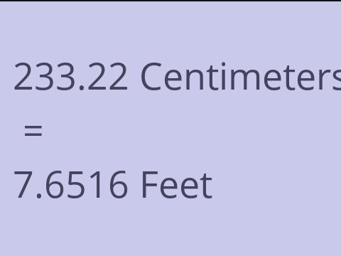 233.22 CM TO FEET