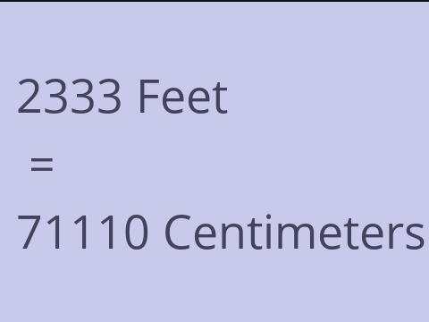 2333 FEET TO CM