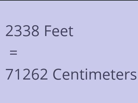 2338 FEET TO CM