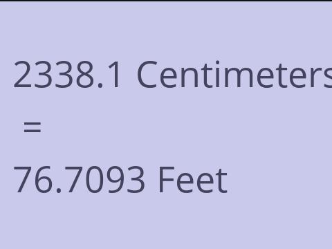 2338.1 CM TO FEET