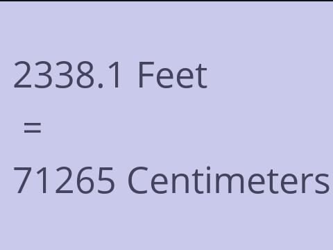 2338.1 FEET TO CM