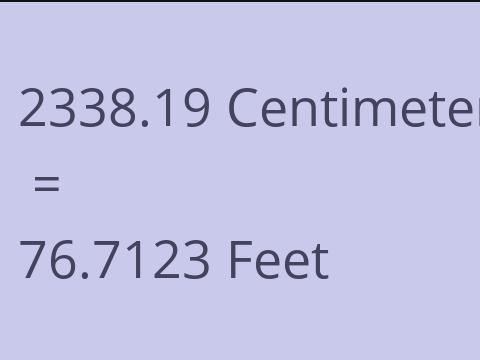 2338.19 CM TO FEET