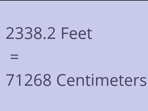 2338.2 FEET TO CM