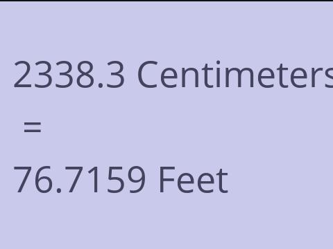 2338.3 CM TO FEET