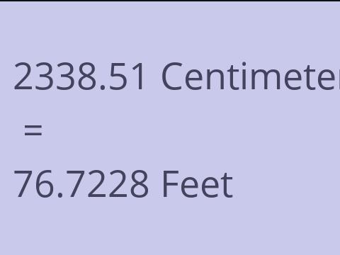 2338.51 CM TO FEET