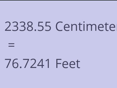 2338.55 CM TO FEET