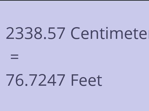 2338.57 CM TO FEET