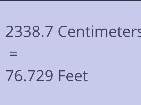 2338.7 CM TO FEET