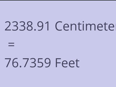 2338.91 CM TO FEET