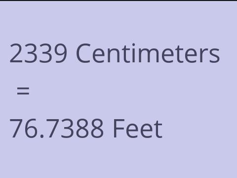 2339 CM TO FEET