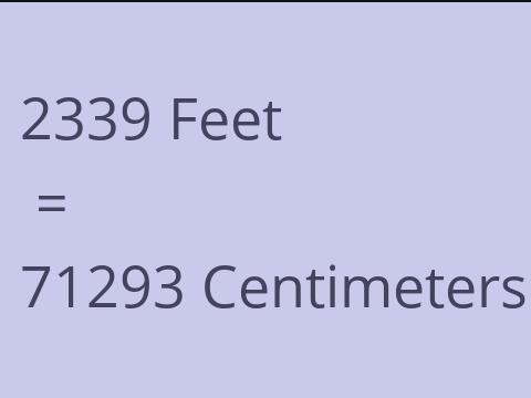 2339 FEET TO CM