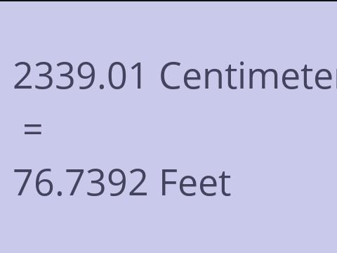 2339.01 CM TO FEET