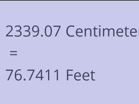 2339.07 CM TO FEET