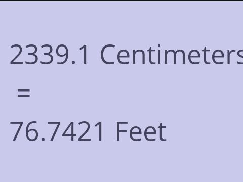 2339.1 CM TO FEET