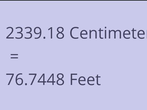 2339.18 CM TO FEET
