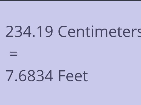 234.19 CM TO FEET