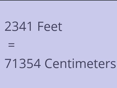 2341 FEET TO CM