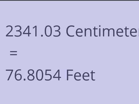 2341.03 CM TO FEET