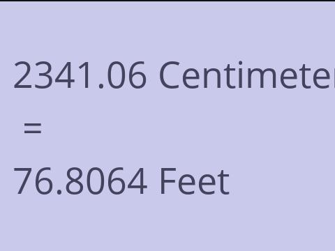 2341.06 CM TO FEET