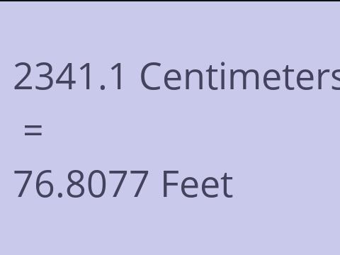 2341.1 CM TO FEET