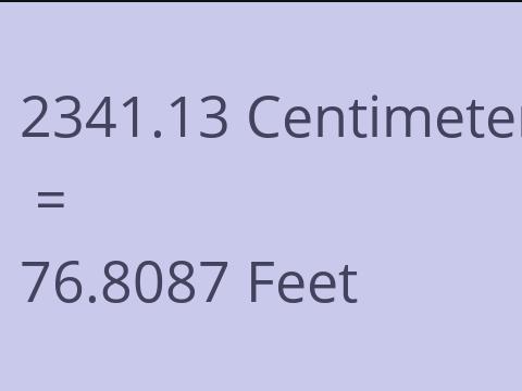 2341.13 CM TO FEET