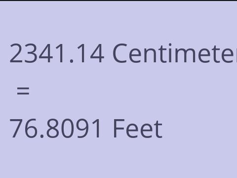 2341.14 CM TO FEET