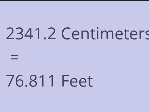 2341.2 CM TO FEET