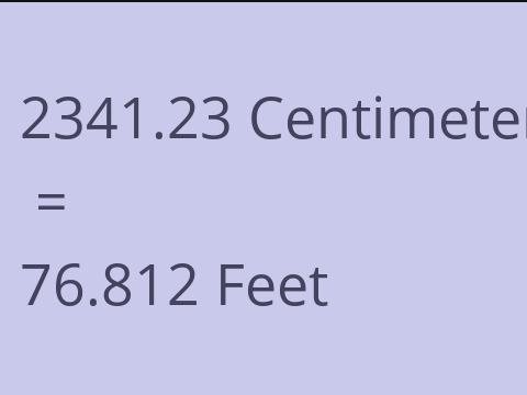 2341.23 CM TO FEET