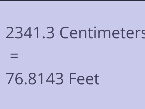 2341.3 CM TO FEET