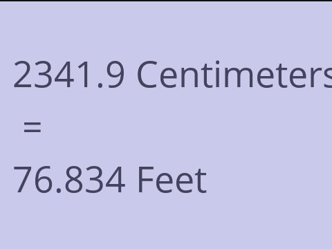 2341.9 CM TO FEET