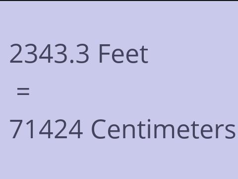 2343.3 FEET TO CM