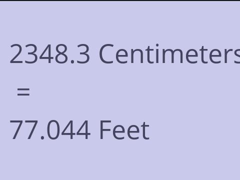 2348.3 CM TO FEET