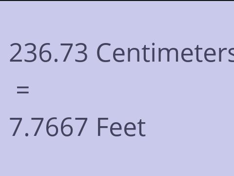 236.73 CM TO FEET