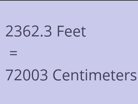 2362.3 FEET TO CM