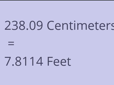 238.09 CM TO FEET