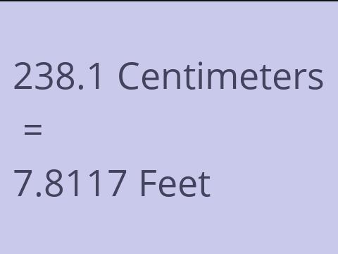 238.1 CM TO FEET