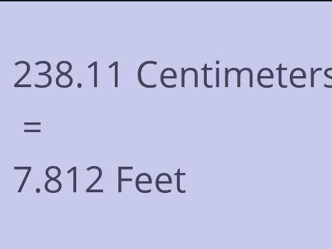 238.11 CM TO FEET