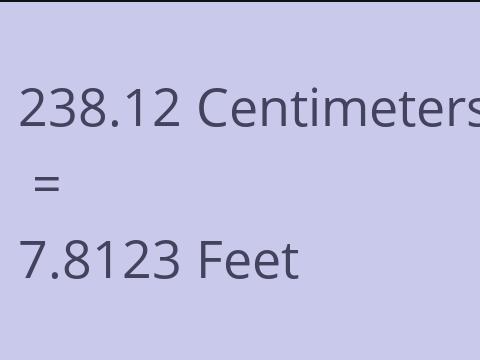 238.12 CM TO FEET