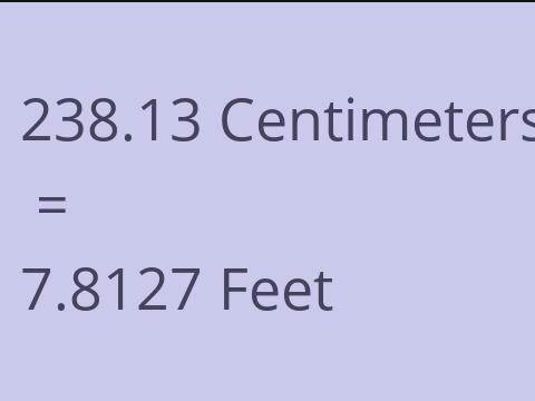 238.13 CM TO FEET