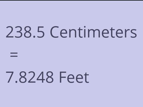 238.5 CM TO FEET