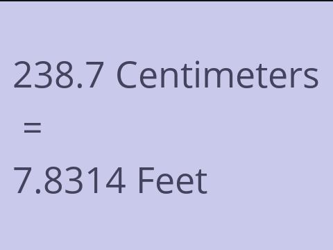 238.7 CM TO FEET