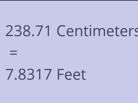 238.71 CM TO FEET