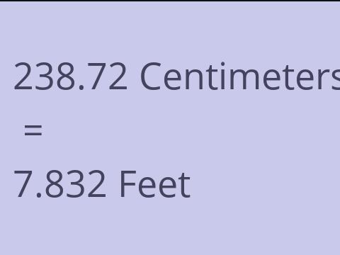 238.72 CM TO FEET