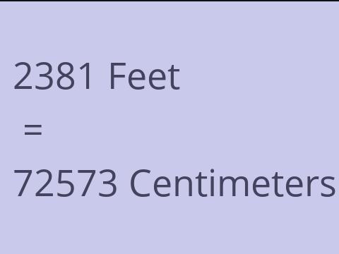 2381 FEET TO CM