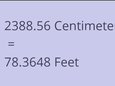 2388.56 CM TO FEET