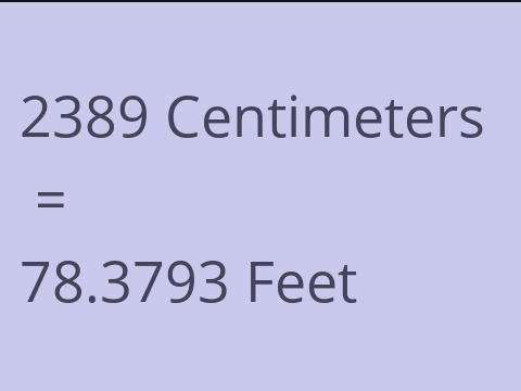 2389 CM TO FEET