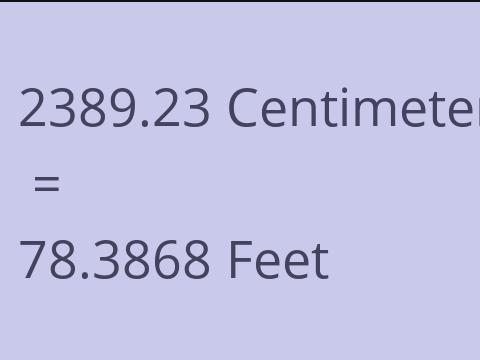 2389.23 CM TO FEET