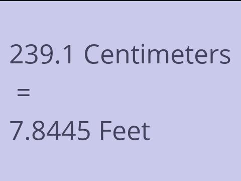 239.1 CM TO FEET