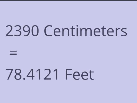 2390 CM TO FEET